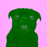Trudi